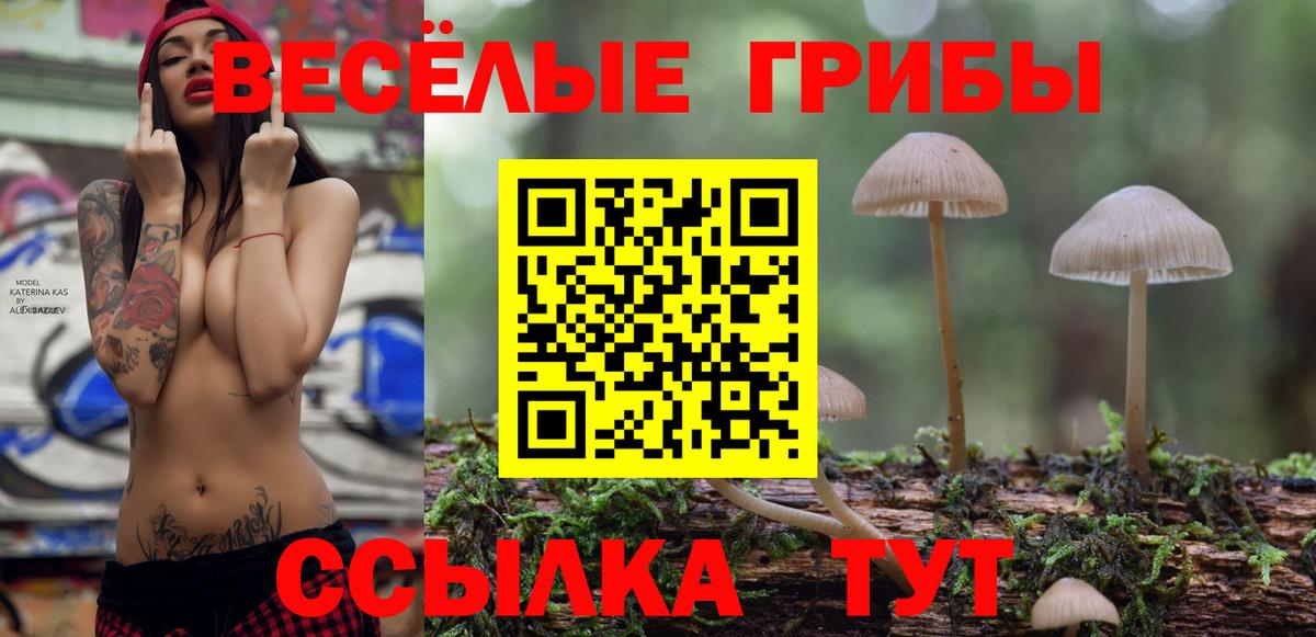 Псилоцибиновые грибы GOLDEN TEACHER Мурманск